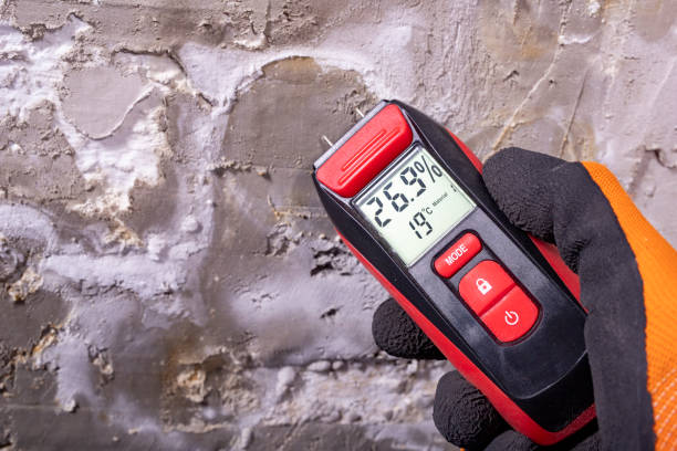 Best Crawl Space Mold Removal  in Monroe, LA